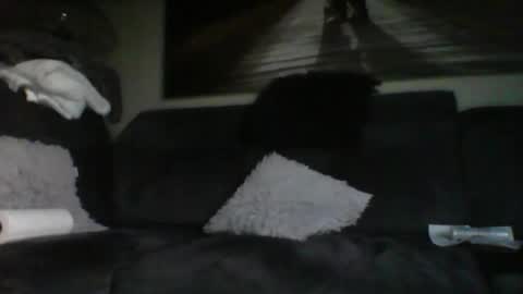 Snapshot of fredo76491 chatting on October 31, 4:52 pm fredo76491 online show from October 31, 4:52 pm