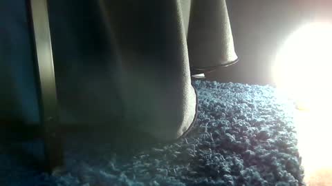 Snapshot of fredthetom12 chatting on January 16, 6:59 pm Greedy Fred online show from January 16, 6:59 pm