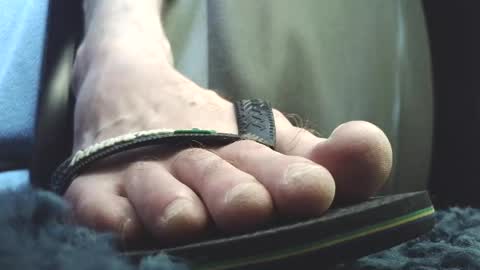 Greedy Fred online show from March 20, 2:44 pm