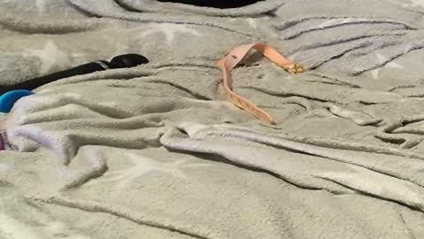 Snapshot of frenulumsnap chatting on September 9, 11:26 pm Meadow online show from September 9, 11:26 pm