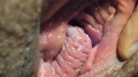 Snapshot of frumcake chatting on January 4, 1:10 am FrumCake online show from January 4, 1:10 am