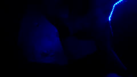 fu338208 online show from October 26, 6:52 am