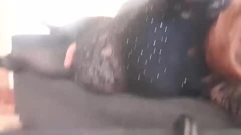 Pizzaz online show from December 29, 2:17 am