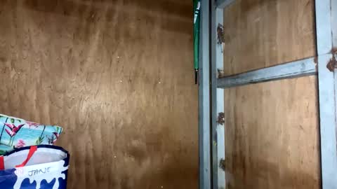 Snapshot of fvckingscarlet chatting on November 23, 12:10 am fvckingscarlet online show from November 23, 12:10 am