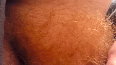 gae89tano online show from February 28, 10:20 am