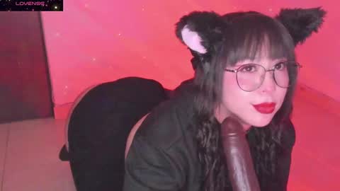 PROXIMO SHOW NOVIEMBRE 16   NEXT SHOW NOVEMBER  16    online show from December 20, 1:03 am