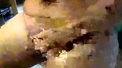 Snapshot of gallimanxxleu chatting on September 17, 8:05 am Stutzen online show from September 17, 8:05 am