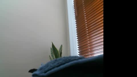 Lisa online show from December 27, 7:14 pm