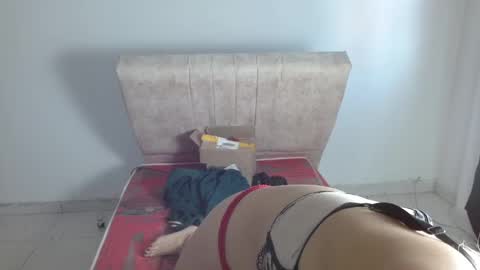 gatita13333321 online show from January 20, 1:42 pm