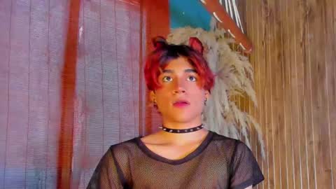 HAN online show from January 13, 1:16 pm