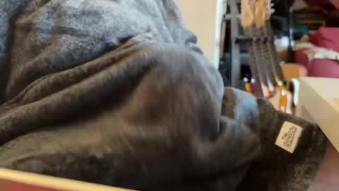 Snapshot of geezerblokeii chatting on December 2, 9:13 am geezerblokeii online show from December 2, 9:13 am