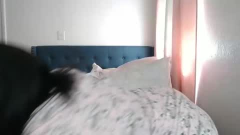 The Empress online show from March 2, 6:19 pm