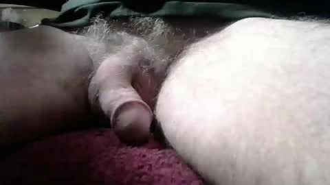 gemini_2 online show from January 19, 2:17 pm