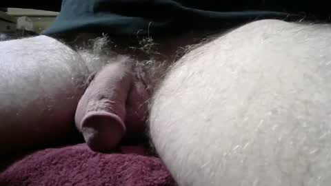 gemini_2 online show from March 5, 2:23 pm