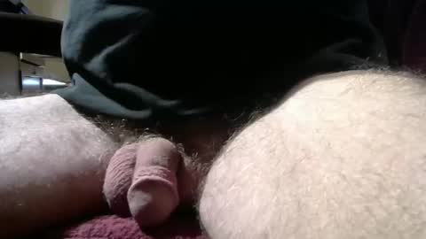 gemini_2 online show from November 18, 3:16 pm