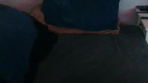 Snapshot of geminix22 chatting on November 30, 6:17 am MrMiller online show from November 30, 6:17 am