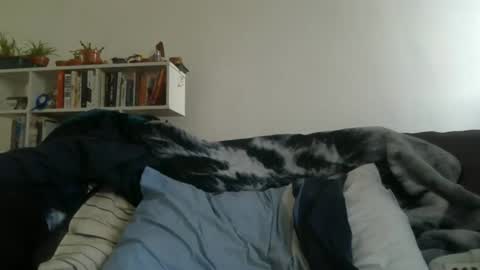 Geon online show from March 27, 7:25 am