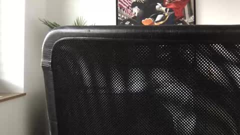 german3003 online show from October 28, 9:46 am