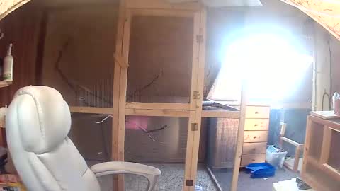 Snapshot of germany_50 chatting on September 20, 6:36 am germany_50 online show from September 20, 6:36 am