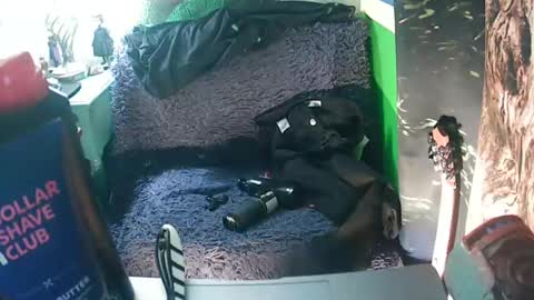 getfucked321jake online show from January 16, 12:31 pm