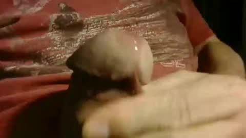 gettingstiff online show from January 12, 12:10 pm