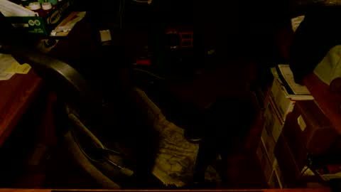 Snapshot of gfhdhr2 chatting on March 4, 9:18 am gfhdhr2 online show from March 4, 9:18 am