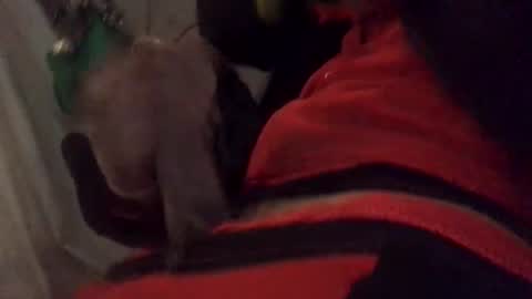 ghallofino26 online show from February 5, 2:49 am