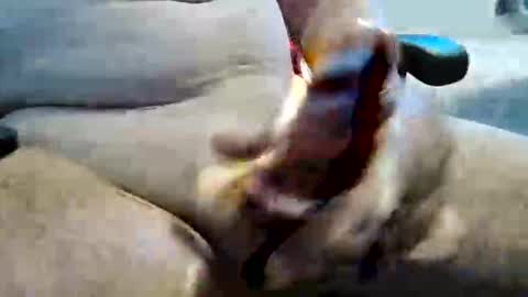 Snapshot of ghost1805 chatting on November 10, 11:26 pm ghost1805 online show from November 10, 11:26 pm