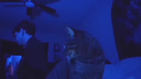 Snapshot of ghostcondor11 chatting on November 13, 8:57 am SrirachaSwitchblade online show from November 13, 8:57 am