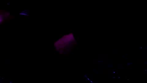 Snapshot of giftedbiker11 chatting on January 9, 6:17 am giftedbiker online show from January 9, 6:17 am