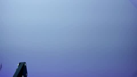 Kendall online show from December 15, 1:04 pm