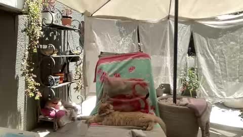 Snapshot of gl1tter_barbie chatting on November 22, 8:57 am Gl1tter Barbie online show from November 22, 8:57 am