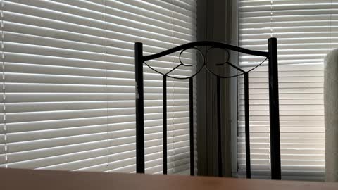 Snapshot of glazehoney chatting on January 10, 5:02 pm glazehoney online show from January 10, 5:02 pm