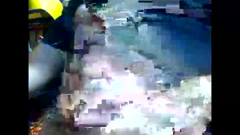 PencilDick online show from November 21, 9:08 am