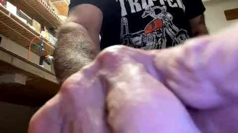 Snapshot of gngnxxx chatting on October 23, 4:45 am gngnxxx online show from October 23, 4:45 am