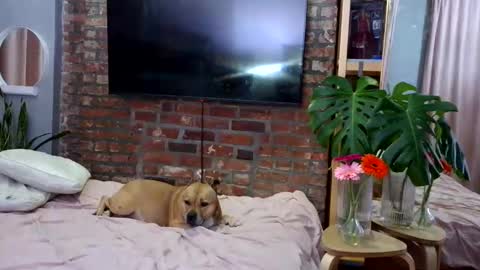 Goodess Jojo online show from April 4, 1:15 am