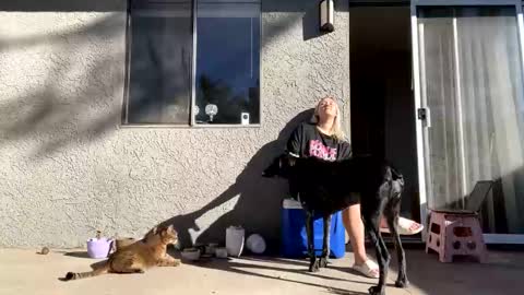 Snapshot of goddessmayvn chatting on December 10, 9:33 pm GoddessMayvn online show from December 10, 9:33 pm