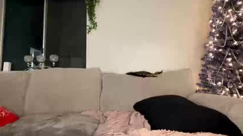 Snapshot of goddessmayvn chatting on December 26, 3:59 am GoddessMayvn online show from December 26, 3:59 am