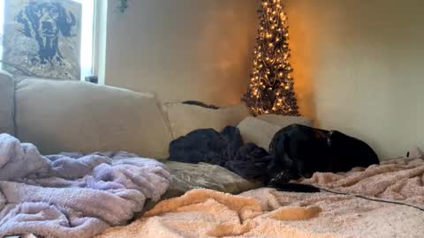 Snapshot of goddessmayvn chatting on January 10, 3:48 pm GoddessMayvn online show from January 10, 3:48 pm