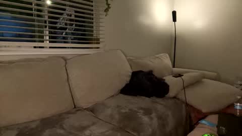 Snapshot of goddessmayvn chatting on January 26, 7:32 am GoddessMayvn online show from January 26, 7:32 am