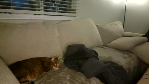 Snapshot of goddessmayvn chatting on January 26, 10:34 am GoddessMayvn online show from January 26, 10:34 am