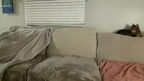 Snapshot of goddessmayvn chatting on January 30, 10:08 am GoddessMayvn online show from January 30, 10:08 am