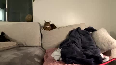 Snapshot of goddessmayvn chatting on February 8, 7:15 am GoddessMayvn online show from February 8, 7:15 am