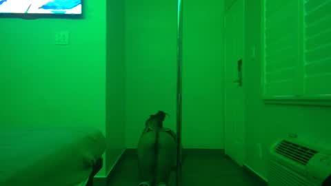 gogetter4life213 online show from February 2, 4:32 pm