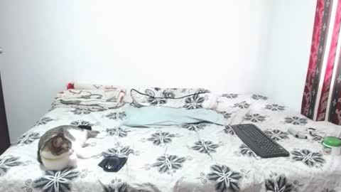 gold_shooter online show from March 12, 2:56 pm