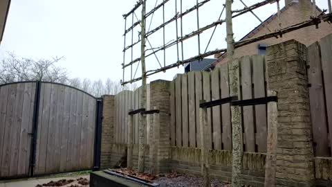   online show from February 10, 10:09 am