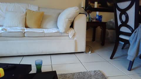 Snapshot of gothbaby305 chatting on September 16, 5:58 pm gothbaby305 online show from September 16, 5:58 pm