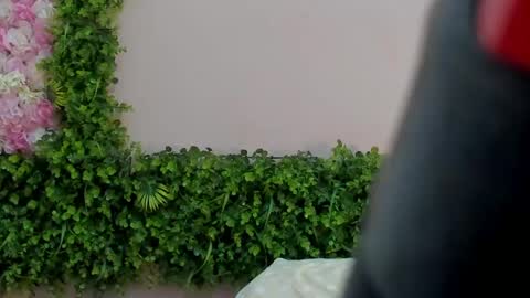 Mi Name is violeta  online show from March 1, 4:15 am