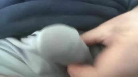 gr8head online show from April 7, 3:01 pm