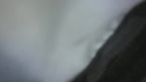 Green Robin Hood online show from December 2, 4:42 pm